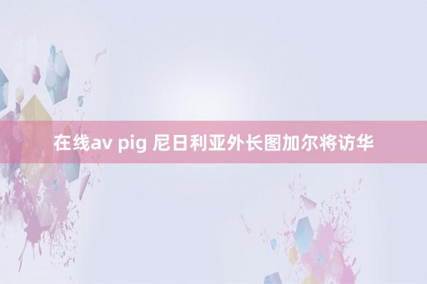 在线av pig 尼日利亚外长图加尔将访华