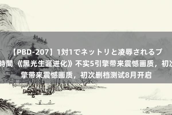 【PBD-207】1対1でネットリと凌辱されるプレミア女優たち 8時間 《黑光生涯进化》不实5引擎带来震憾画质，初次删档测试8月开启