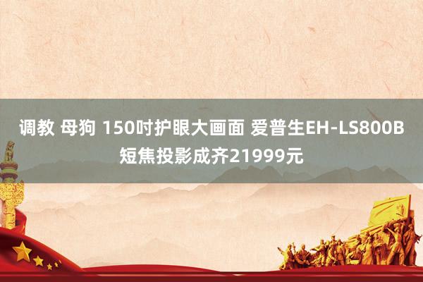 调教 母狗 150吋护眼大画面 爱普生EH-LS800B短焦投影成齐21999元